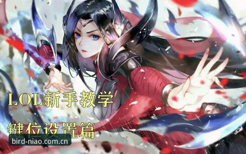 揭秘小鸟体育竞猜安装教程：新手必知的流畅体验与提现真相