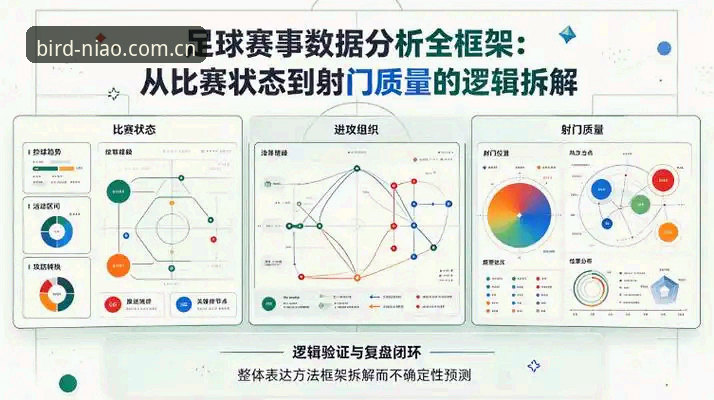 4个数据维度拆解小鸟体育最新版本：正版赛事平台官网的迭代逻辑